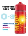 Moon Fizz Ocean Vibes "Framboise bleue, mûre, pitaya, frais" Secret's Lab 50ml