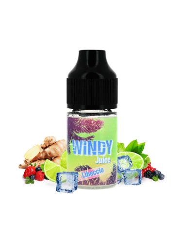 Concentré Libeccio Windy Juice Etasty