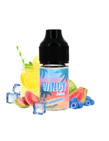 Concentré Tramontana Windy Juice Etasty