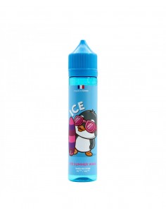 E-liquide ICE - Summer Wave...