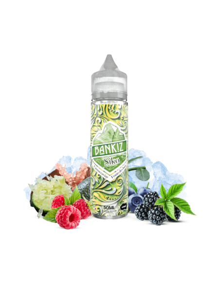 Bako "Baies rouges, violette, frais" - Etasty 50ml