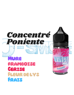 Concentré Poniente E-tasty - O'Smoke 2