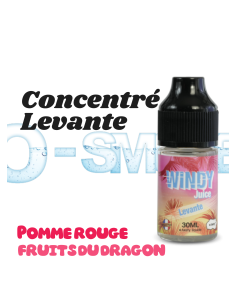 Concentré Levante Windy Juice Etasty 2