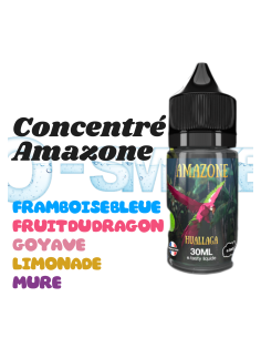 Concentré Huallaga Amazone Etasty