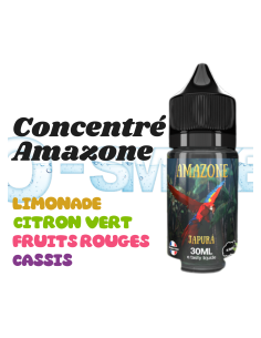 Concentré Japurà Amazone Etasty