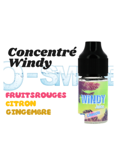 Concentré Libeccio Windy Juice Etasty 2