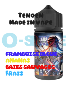 Tengen "Baies sauvages, Framboise bleue, Ananas, Frais" 100ml - Made in vape