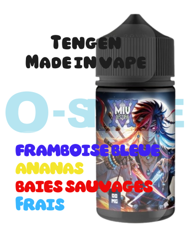 Tengen "Baies sauvages, Framboise bleue, Ananas, Frais" 100ml - Made in vape