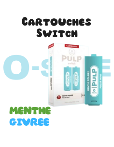 Cartouches SWITCH "Menthe Polaire" (X2) - PULP