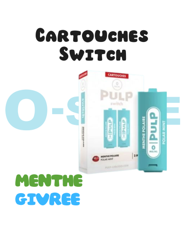 Cartouches SWITCH "Menthe Polaire" (X2) - PULP