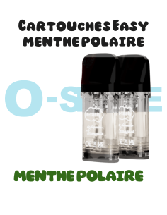 Cartouches EASY - "Menthe polaire" X2 Etasty