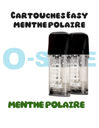 Cartouches EASY - "Menthe polaire" X2 Etasty