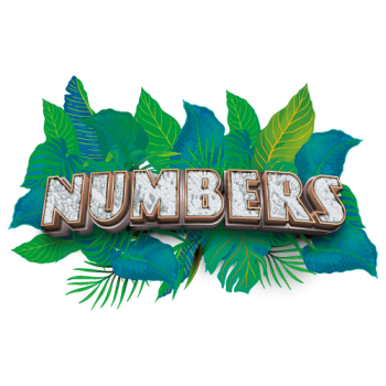 Numbers